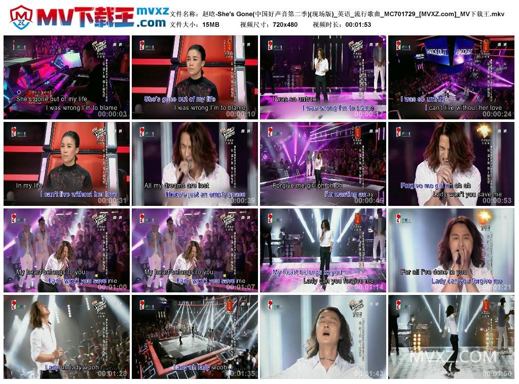 赵晗-She's Gone(中国好声音第二季)(现场版)_英语_流行歌曲_MC701729